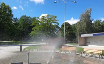 REGENERACE HRABŮVKY MÁ ZA SEBOU 2. ETAPU ZELEŇ SAVARIN