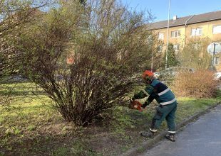 Obnova zeleně Šídlovec – II. etapa