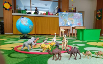 Ostrava významně financuje aktivity rozvíjející školství