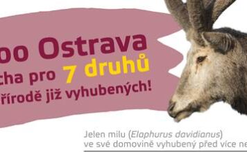 Pozvánka na přednášku Zoo Ostrava: Chráníme naše obojživelníky a plazy