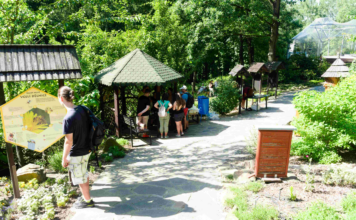 Den pro včely a medobraní v Zoo Ostrava