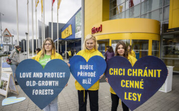Aktivisté Greenpeace upozorňovali na kácení vzácných starých lesů před obchodem IKEA v Ostravě