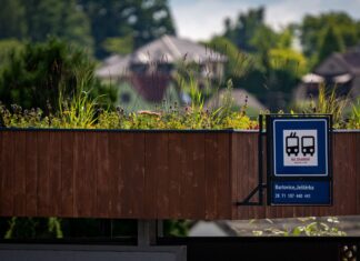 V Ostravě se zelenají i střechy