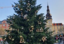 Nenechte si ujít rozsvícení ostravského Vánočního stromu.