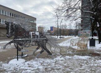 Ulice Jihu se vánočně rozsvítí 1. prosince