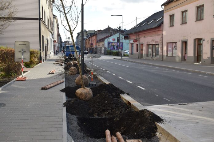 Výsadba_2_listopad_ulice Přemyslovců