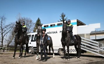 STRÁŽNÍCI POMOHLI JEZDKYNI SE ZAKLÍNĚNOU NOHOU